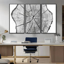 Rustic Tree Ring Wall Art Canvas Print – Framed and Ready to