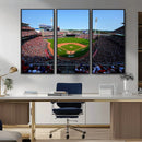 Cincinnati Reds Baseball Canvas Print - American Ball