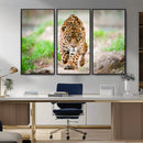 Leopard on the Prowl - Stunning Large Framed Leopard Wall
