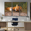 Sleeping Fox Wall Art Canvas Print, Farmhouse Wall Decor and