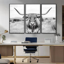 Highland Cow Wall Art Canvas Print – Black and White Western