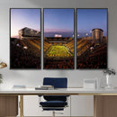 Iowa Hawkeyes Kinnick Stadium Wall Art Canvas Print, Framed