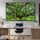 Ancient Tree Wall Art Canvas Print, Framed Sprawling by MyGreatCanvas | Canvas Wall Art Prints | Photo Prints & Wall Decor
