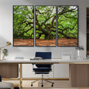 Majestic Oak Tree Wall Art Canvas Print – Ancient Branches by MyGreatCanvas | Canvas Wall Art Prints | Photo Prints & Wall Decor