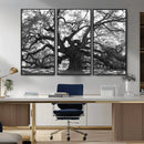 Ancient Oak Wall Art Canvas Print – Gnarled Tree Twisted by MyGreatCanvas | Canvas Wall Art Prints | Photo Prints & Wall Decor