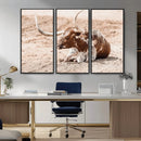 Texas Longhorn Wall Art – Framed Resting Bull Canvas by MyGreatCanvas | Canvas Wall Art Prints | Photo Prints & Wall Decor