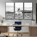 White Horse Wall Art Canvas Print – Framed Woman Rider