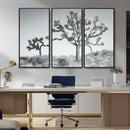 Joshua Trees Wall Art Canvas Print – Framed Black White
