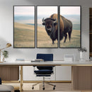 Bison Wall Art Canvas Print – Framed Buffalo American Bison
