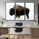 Bison Wall Art Canvas Print – Framed Western Wildlife