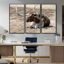 Texas Longhorn Wall Art Canvas Print – Framed Country Living