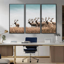 Elk Herd Wall Art Canvas Print – Framed Wildlife Photography
