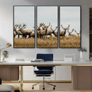 Elk Herd Wall Art Canvas Print – Framed Wildlife Photography by MyGreatCanvas | Canvas Wall Art Prints | Photo Prints & Wall Decor