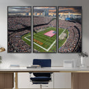 Chicago Bears Soldiers Field Wall Art Canvas Print – Framed