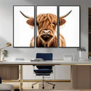 Scottish Highland Cow Canvas Print, Framed Highland Cow