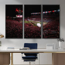 William Brice Stadium Wall Art Print – Baseball Game Room