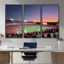 Dooley Stadium Wall Art, Sports Arena Canvas Print, Dooley