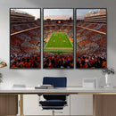 Tennessee Neyland Stadium Wall Art, Sports Arena Canvas by MyGreatCanvas | Canvas Wall Art Prints | Photo Prints & Wall Decor