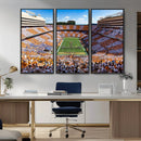 Tennessee Neyland Stadium Wall Art, Sports Arena Canvas by MyGreatCanvas | Canvas Wall Art Prints | Photo Prints & Wall Decor