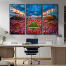 Tennessee Neyland Stadium Wall Art, Sports Arena Canvas by MyGreatCanvas | Canvas Wall Art Prints | Photo Prints & Wall Decor