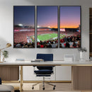 Dooley Stadium Wall Art, Sports Arena Canvas Print, Dooley by MyGreatCanvas | Canvas Wall Art Prints | Photo Prints & Wall Decor