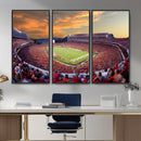 Dooley Stadium Wall Art, Sports Arena Canvas Print, Dooley