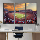 Dooley Stadium Wall Art, Sports Arena Canvas Print, Dooley by MyGreatCanvas | Canvas Wall Art Prints | Photo Prints & Wall Decor