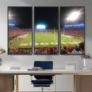 Dooley Stadium Wall Art, Sports Arena Panoramic Canvas