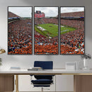 Jordan-Hare Stadium Wall Art Canvas Print, College Sports by MyGreatCanvas | Canvas Wall Art Prints | Photo Prints & Wall Decor