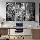Wild Old Elephant Wall Art Canvas Print