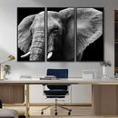 Big Elephant Close Up Wall Art Canvas Print