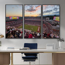 Donald W. Reynolds Razorback Stadium Wall Art Canvas Print –