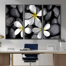 Plumeria Frangipani Black Stone Canvas | White Flower Spa by MyGreatCanvas | Canvas Wall Art Prints | Photo Prints & Wall Decor