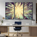 Tree and Sunshine Canvas Print