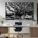 Mighty Angel Oak Wall Art | Angel Oak Tree Art Print by MyGreatCanvas | Canvas Wall Art Prints | Photo Prints & Wall Decor