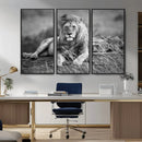 King Forest Lion Wall Art Canvas Print – Framed Majestic by MyGreatCanvas | Canvas Wall Art Prints | Photo Prints & Wall Decor