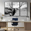 Longhorn Wall Art Canvas Print, Framed Ranch Wall Art Canvas by MyGreatCanvas | Canvas Wall Art Prints | Photo Prints & Wall Decor