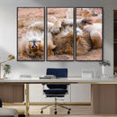 Lion Pair Wall Art Canvas Print – Framed Wildlife Scene with