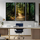 Sunlit Forest Pathway Canvas Print | 3 Panel Large Nature by MyGreatCanvas | Canvas Wall Art Prints | Photo Prints & Wall Decor