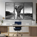 Black and White Elephant Wall Art Canvas Print