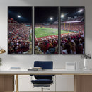Washington-Grizzly Stadium Canvas Print, American Football