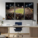 Washington-Grizzly Stadium Canvas Print, American Football