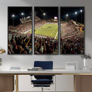 Washington-Grizzly Stadium Canvas Wall Art – Exciting Game