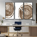 Wood Tree Ring Wall Art Canvas Prints, Tree Rings –