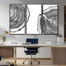 Abstract Large Tree Rings – Minimalist Black and White Wood