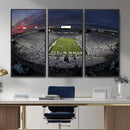 Penn State University Nittany Lions Football Team Print -