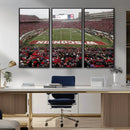 Wisconsin Badgers Team Print Canvas - Madison Camp Randall