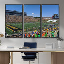 University of Missouri Tigers Football Team Print - Columbia