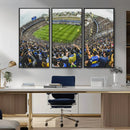 Boca Juniors Soccer Team Print Wall Art - Buenos Aires