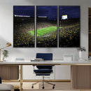 Michigan Wolverines Football Canvas Wall Decor, Football